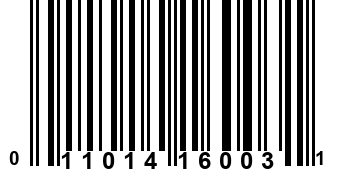 011014160031