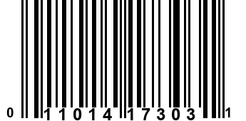 011014173031