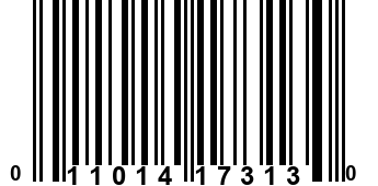 011014173130