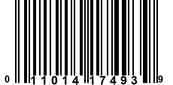 011014174939