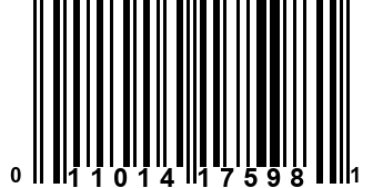 011014175981