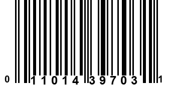 011014397031