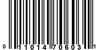 011014706031