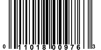 011018009763