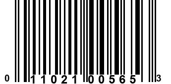 011021005653