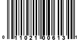 011021006131