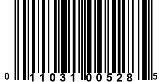 011031005285