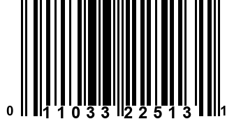 011033225131