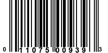 011075009393