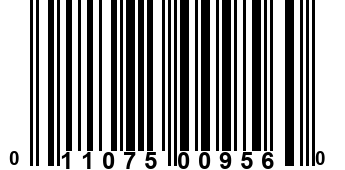 011075009560