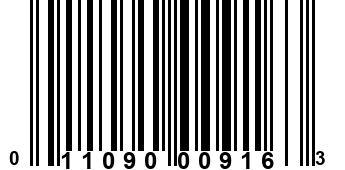 011090009163