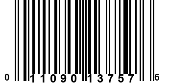 011090137576