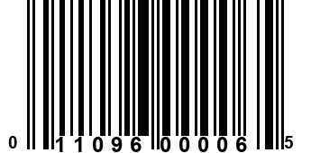 011096000065