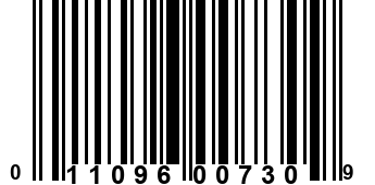 011096007309