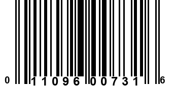 011096007316