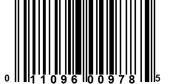 011096009785