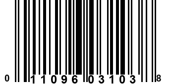 011096031038