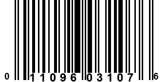 011096031076