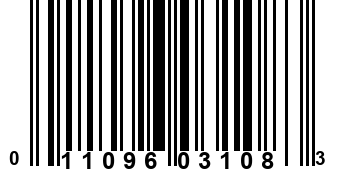 011096031083