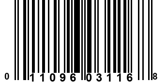 011096031168