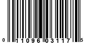 011096031175