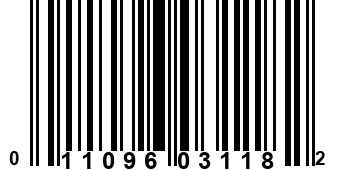 011096031182