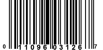 011096031267