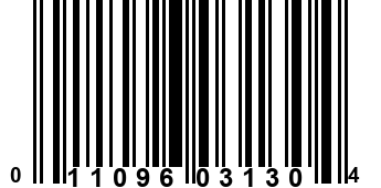 011096031304