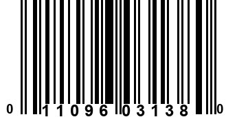 011096031380