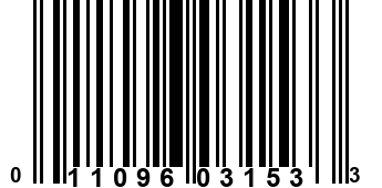 011096031533