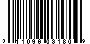 011096031809