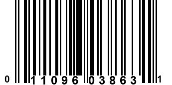 011096038631