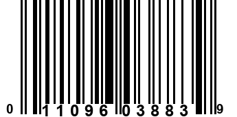 011096038839