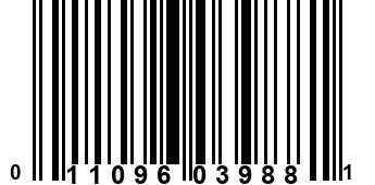 011096039881