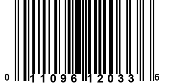 011096120336