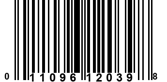 011096120398