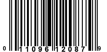 011096120879