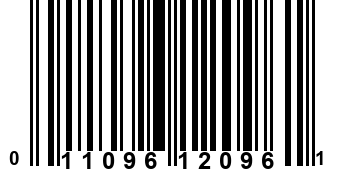 011096120961