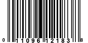 011096121838