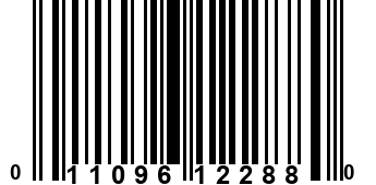 011096122880