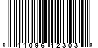 011096123030