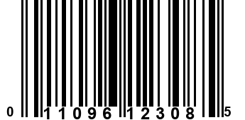 011096123085