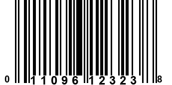 011096123238