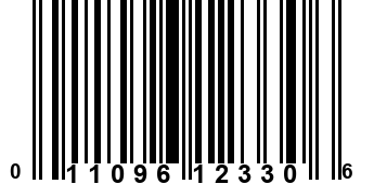 011096123306