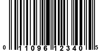 011096123405