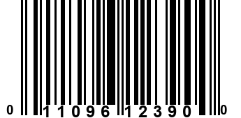 011096123900