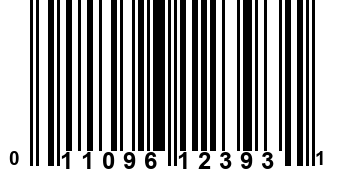 011096123931