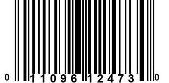 011096124730