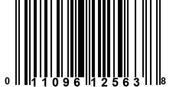 011096125638