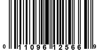 011096125669